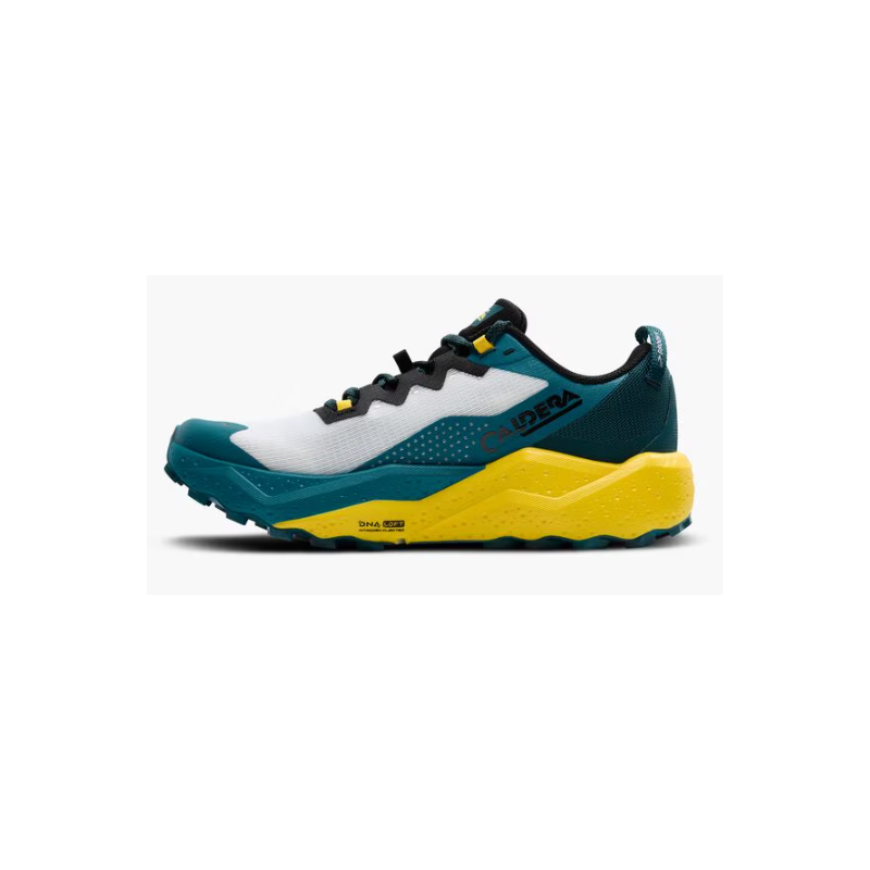 Brooks Caldera 8 (M)
