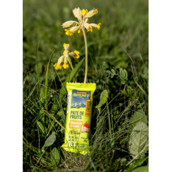 Andros Pate de fruits 30g abricot et banane