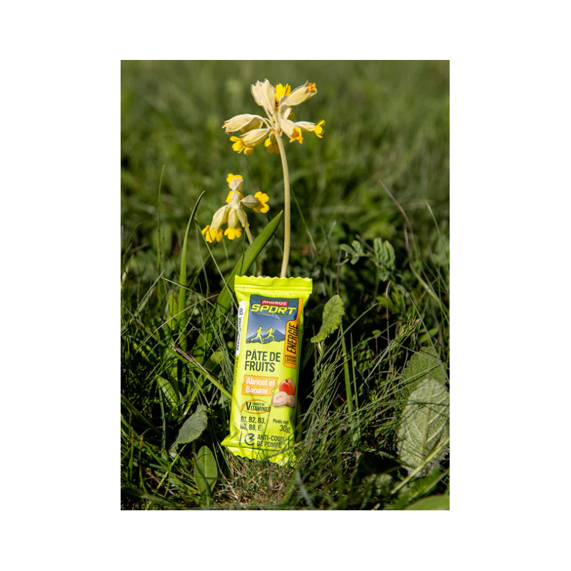 Andros Pate de fruits 30g abricot et banane