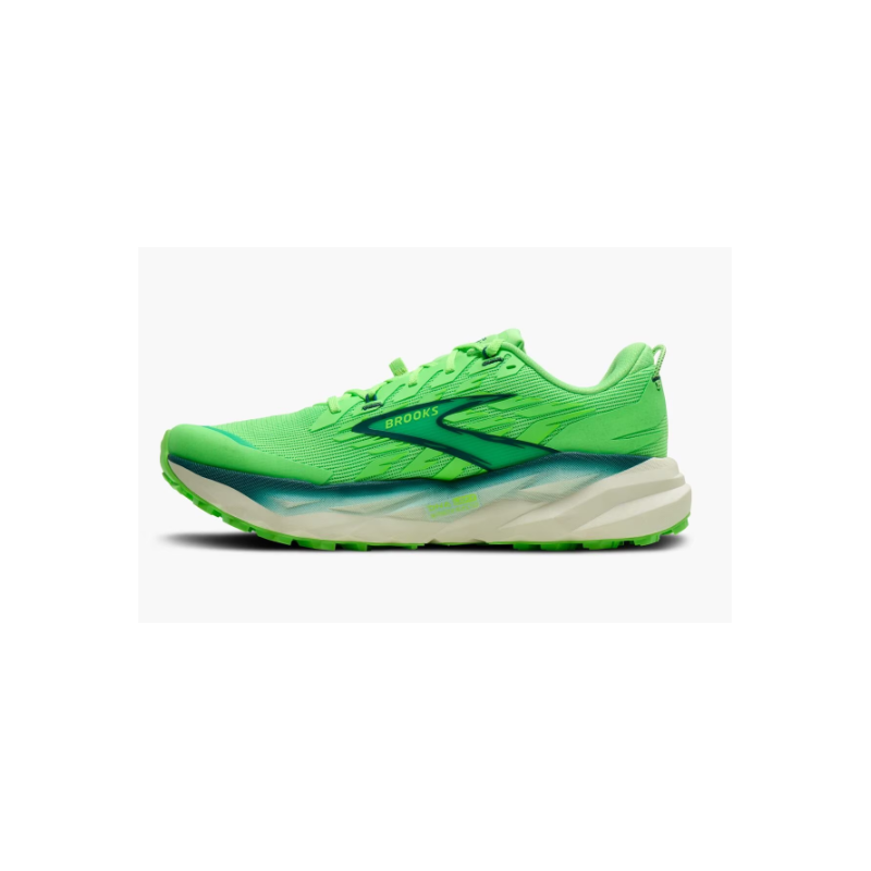 Brooks Cascadia 19 (M)
