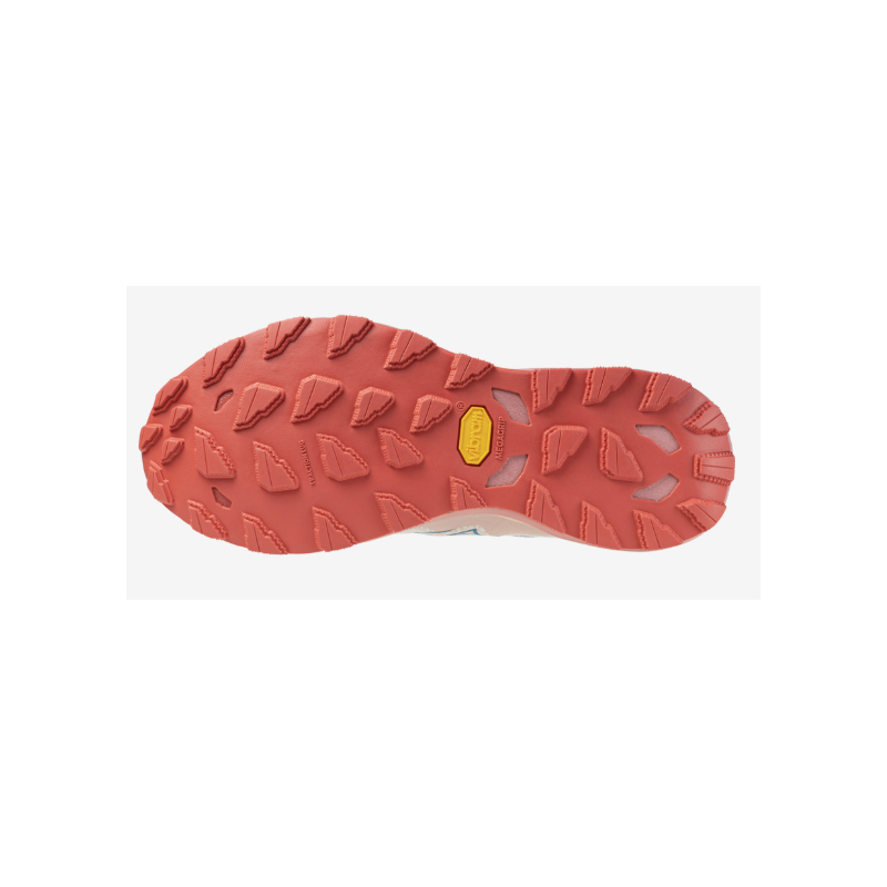 Mizuno Wave daichi 9 (WOS)