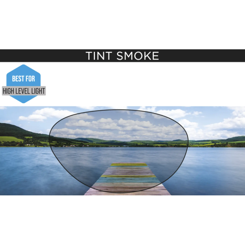 Lunettes de natation Zoggs Predator Flex (grey blue tint SMO)