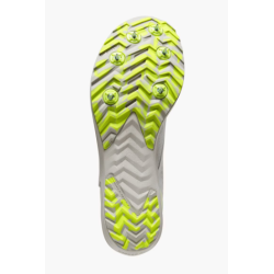 Draft XC