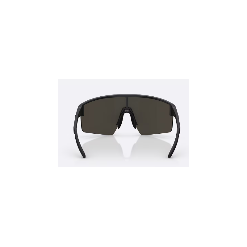 Lunettes de soleil P004