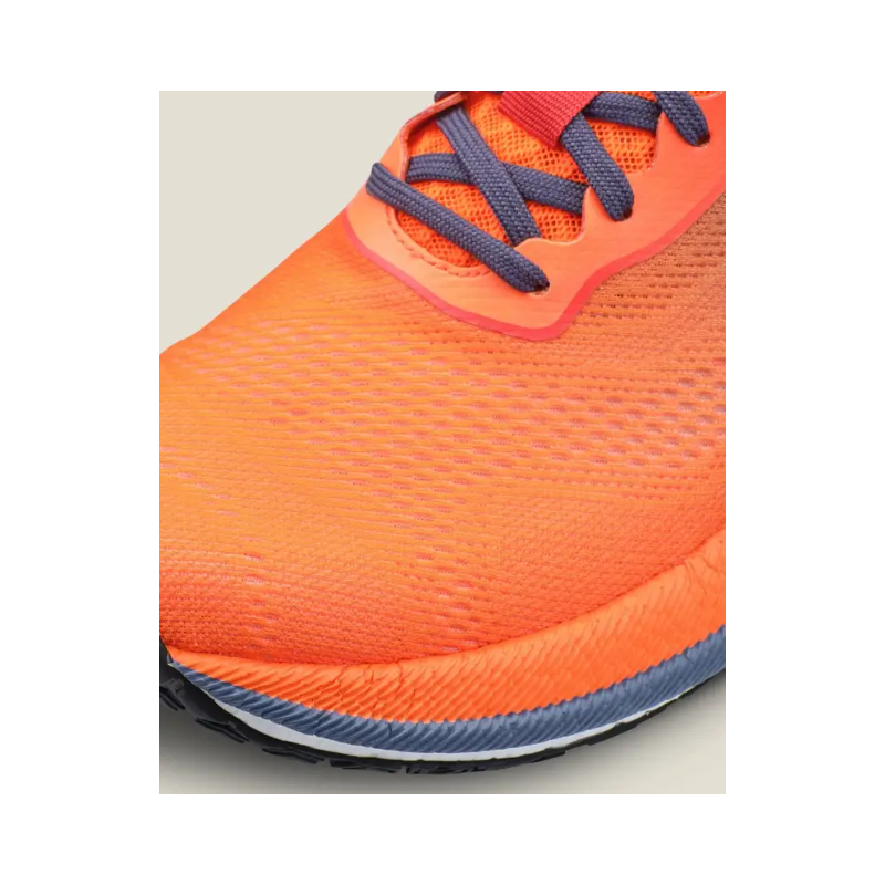 Pacer 2 (M)