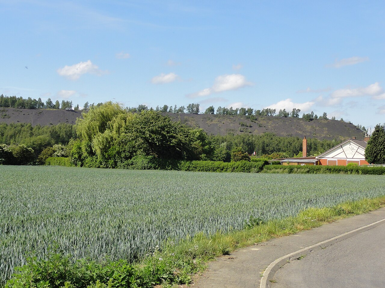 Vue du terril de Pinchonvalles dans le bassin minier.