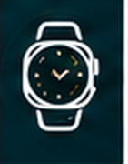 Electrónica / Relojes / GPS