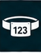 Race number belts